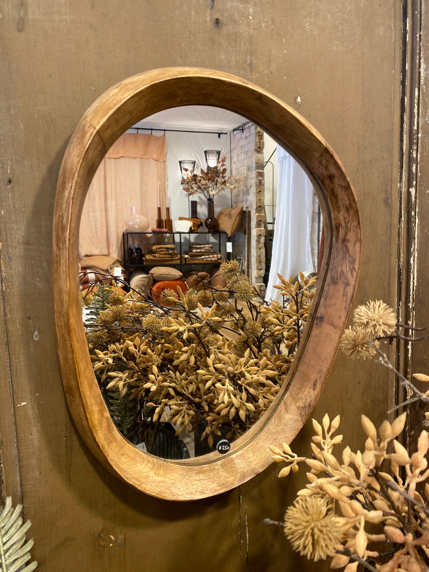 UNC Mirror Shizu small