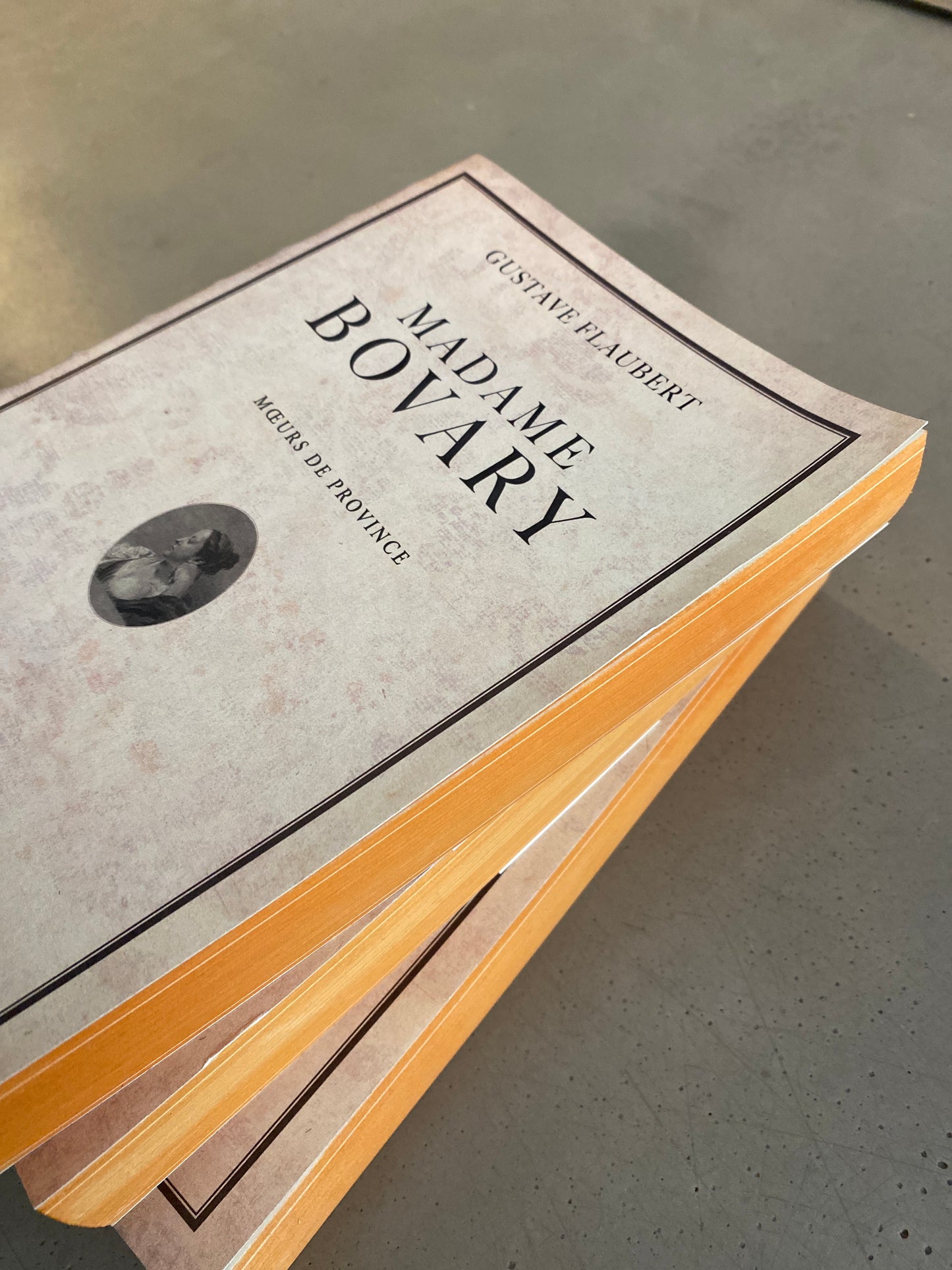 Madame Bovary Notebook