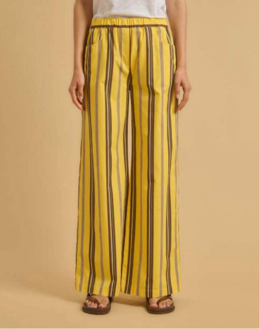 Diega Pindo Cotton Pants Yellow Stripes