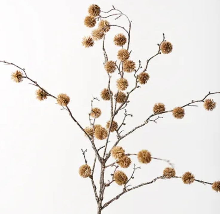 Sycamore Spray