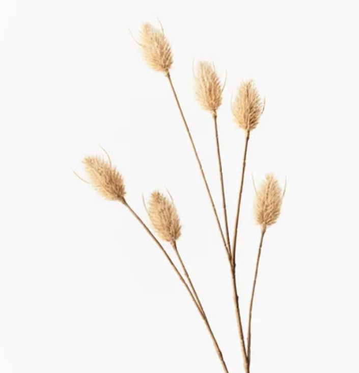 Bunny Tail Spray