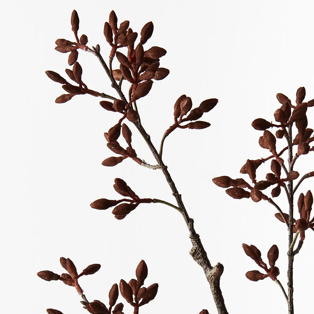 Simplex Seed Spray Chocolate