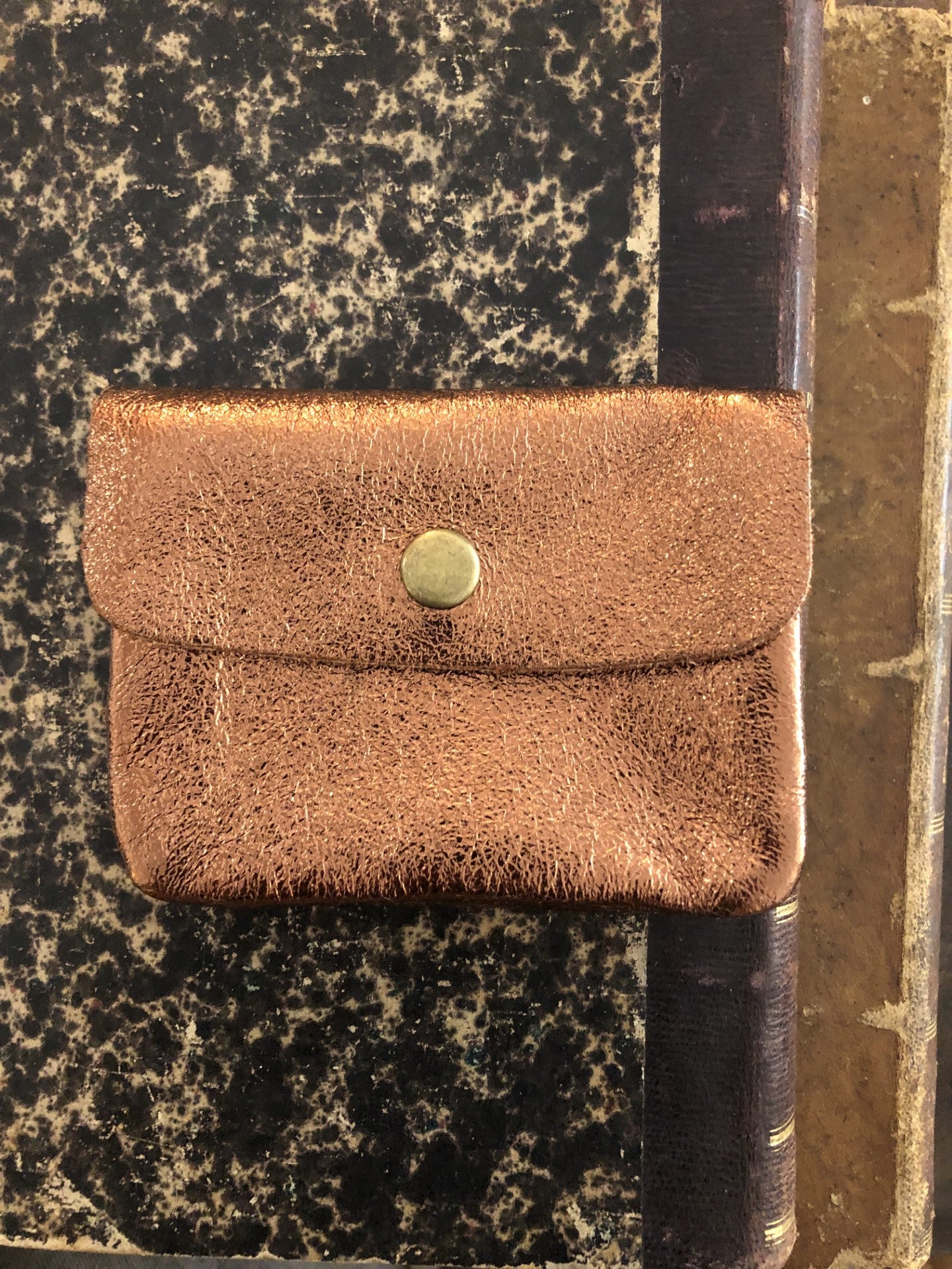 Coin Purse Metallic Bronze