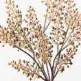 Berry Pepper Bush Natural