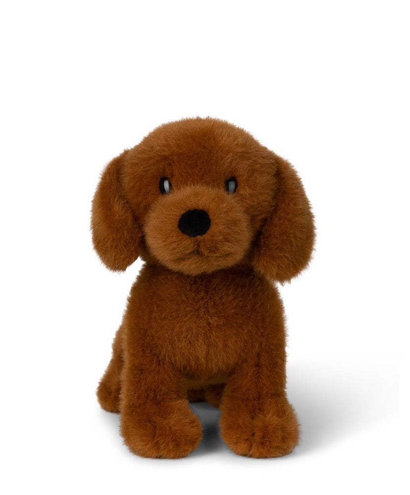Dax The Dog 25cm