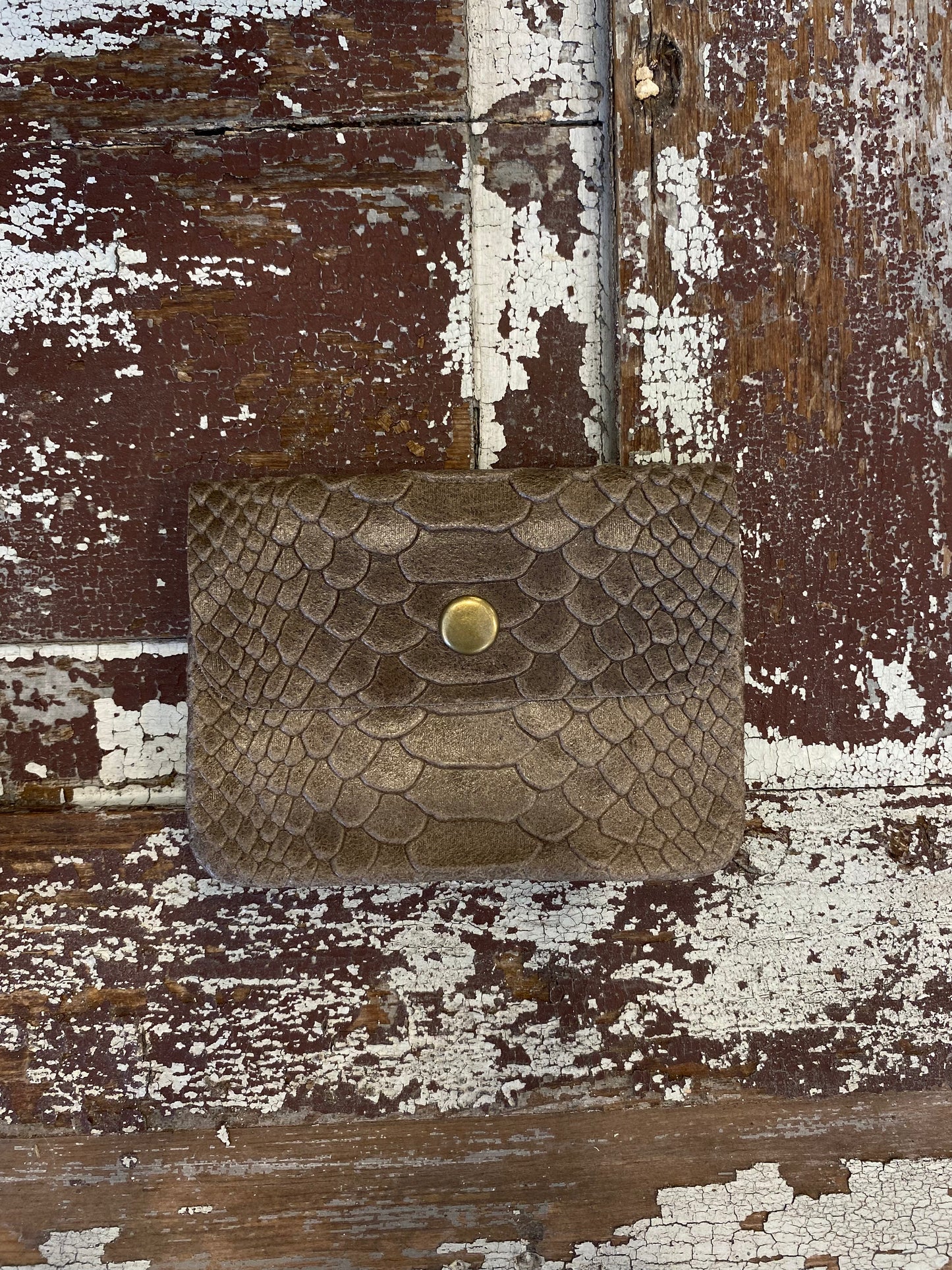 Coin Purse Python Taupe