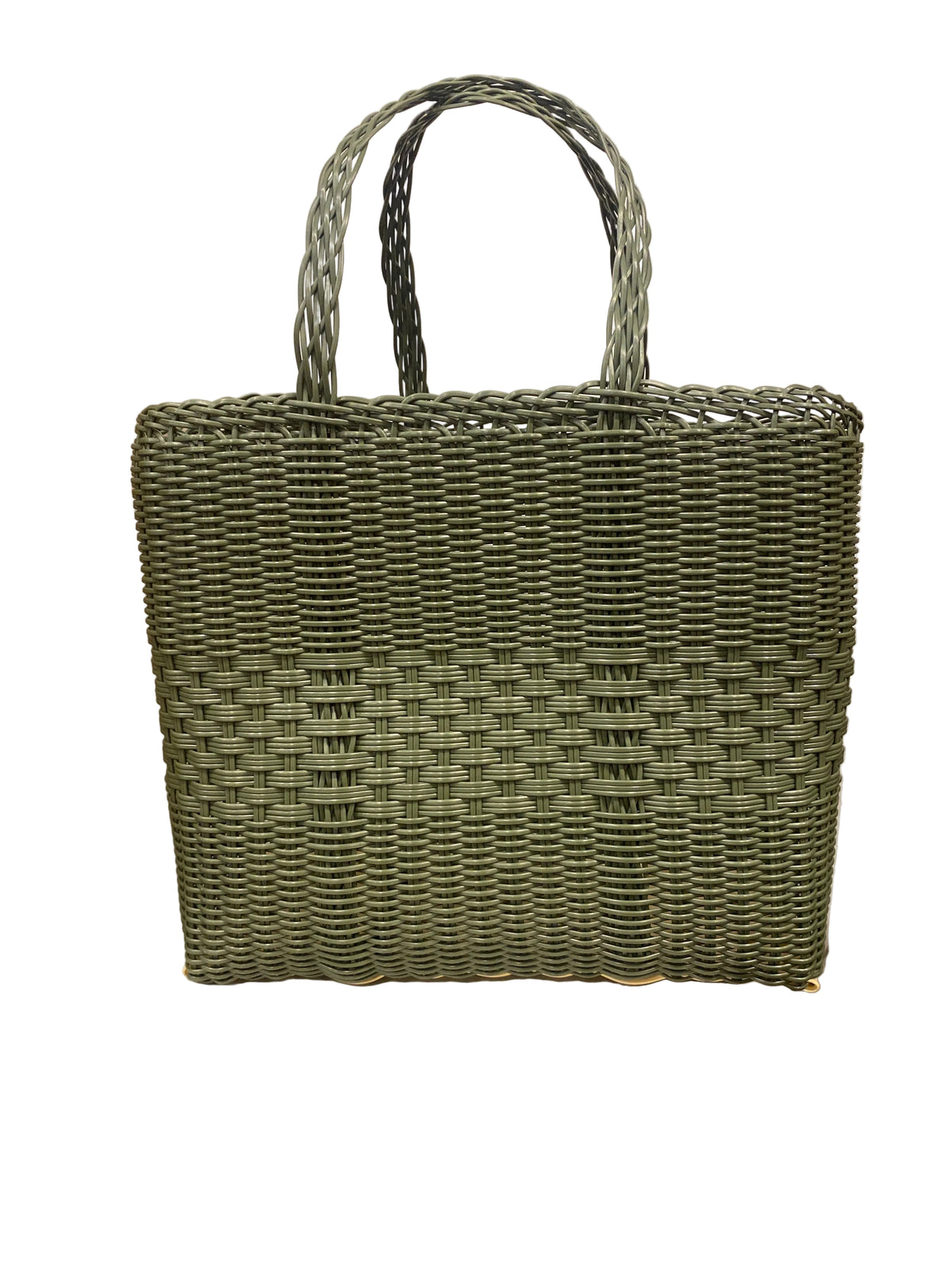 Palorosa Lace Small Cactus