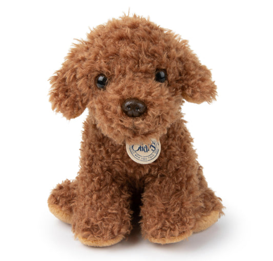 Stacy the Labradoodle