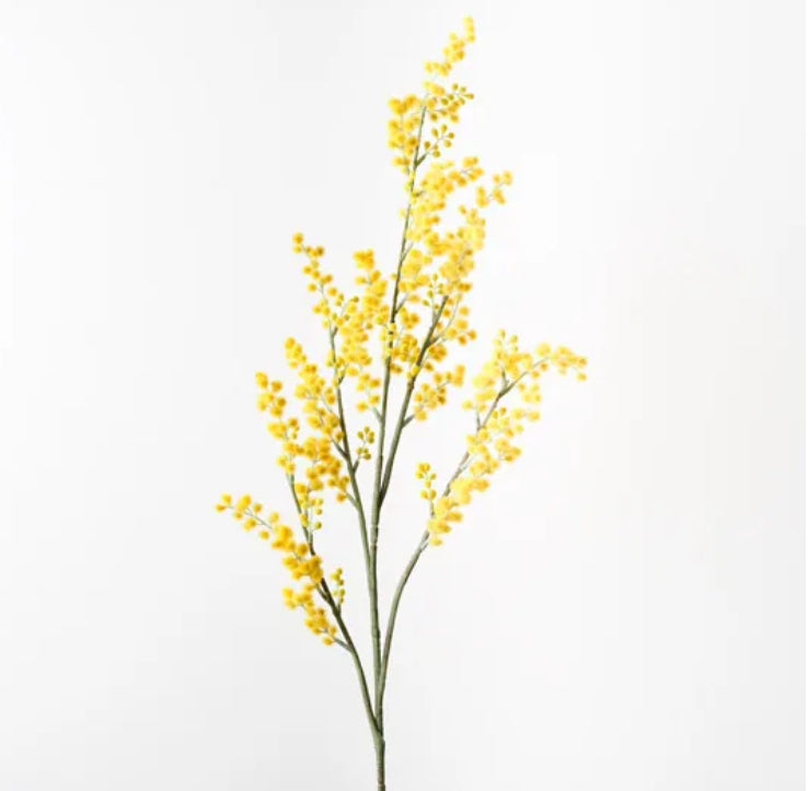 Wattle Spray 99cm