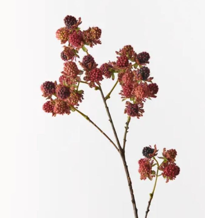 Mulberry Spray