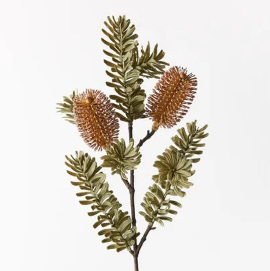 Banksia Spray