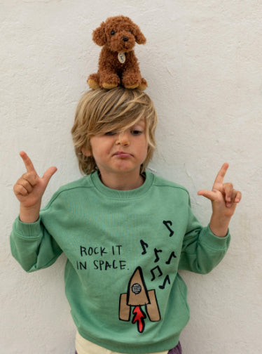 Stacy the Labradoodle