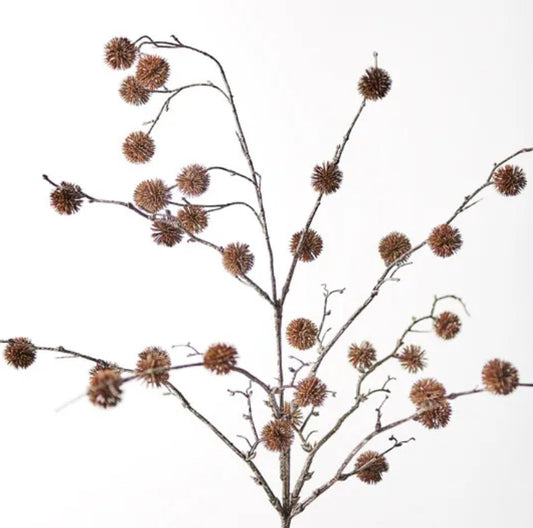 Sycamore Spray Chocolate