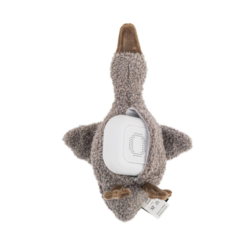 Liva Comforter on the go