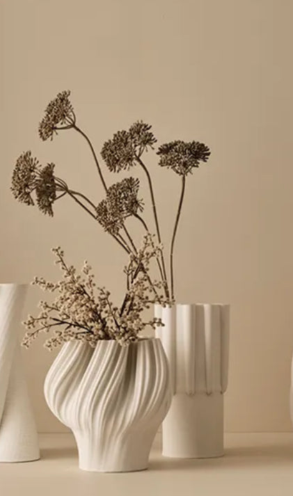 Heracleum Spray