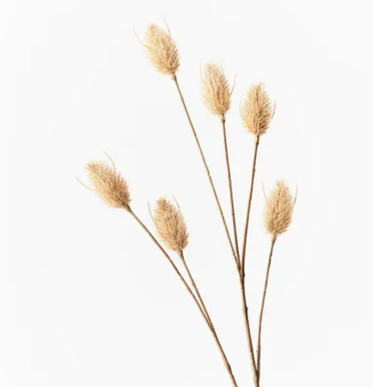 Bunny Tail Spray