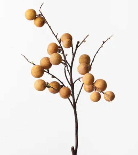 Longan Spray