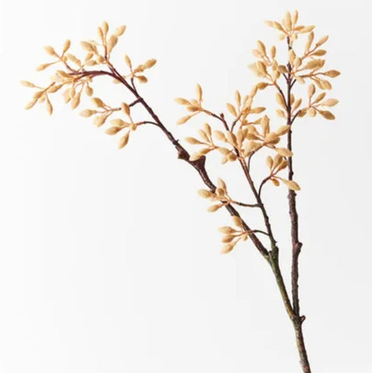 Simplex Seed Spray