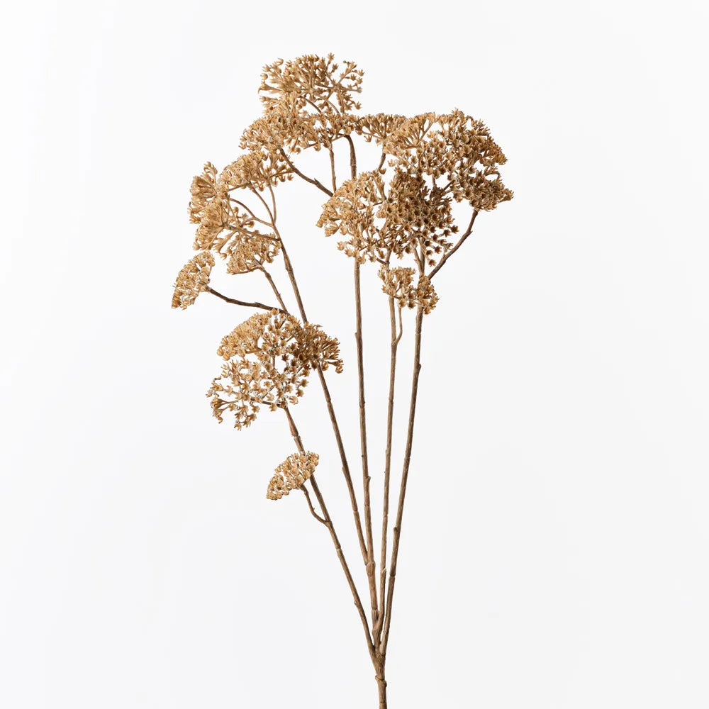 Achillea Spray Natural