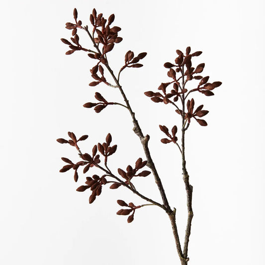 Simplex Seed Spray Chocolate